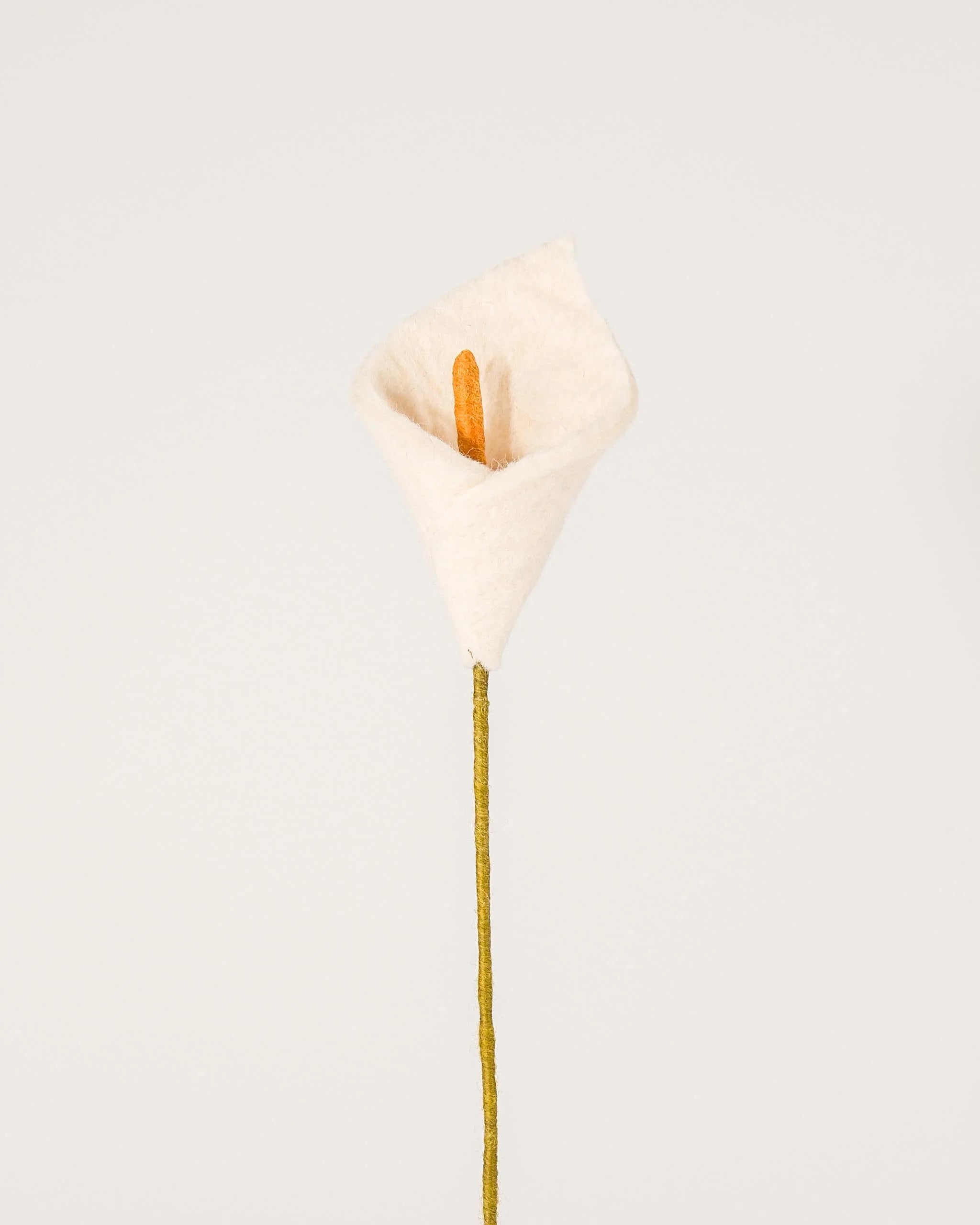 Photo d'un arum en feutrine sur un fond blanc.