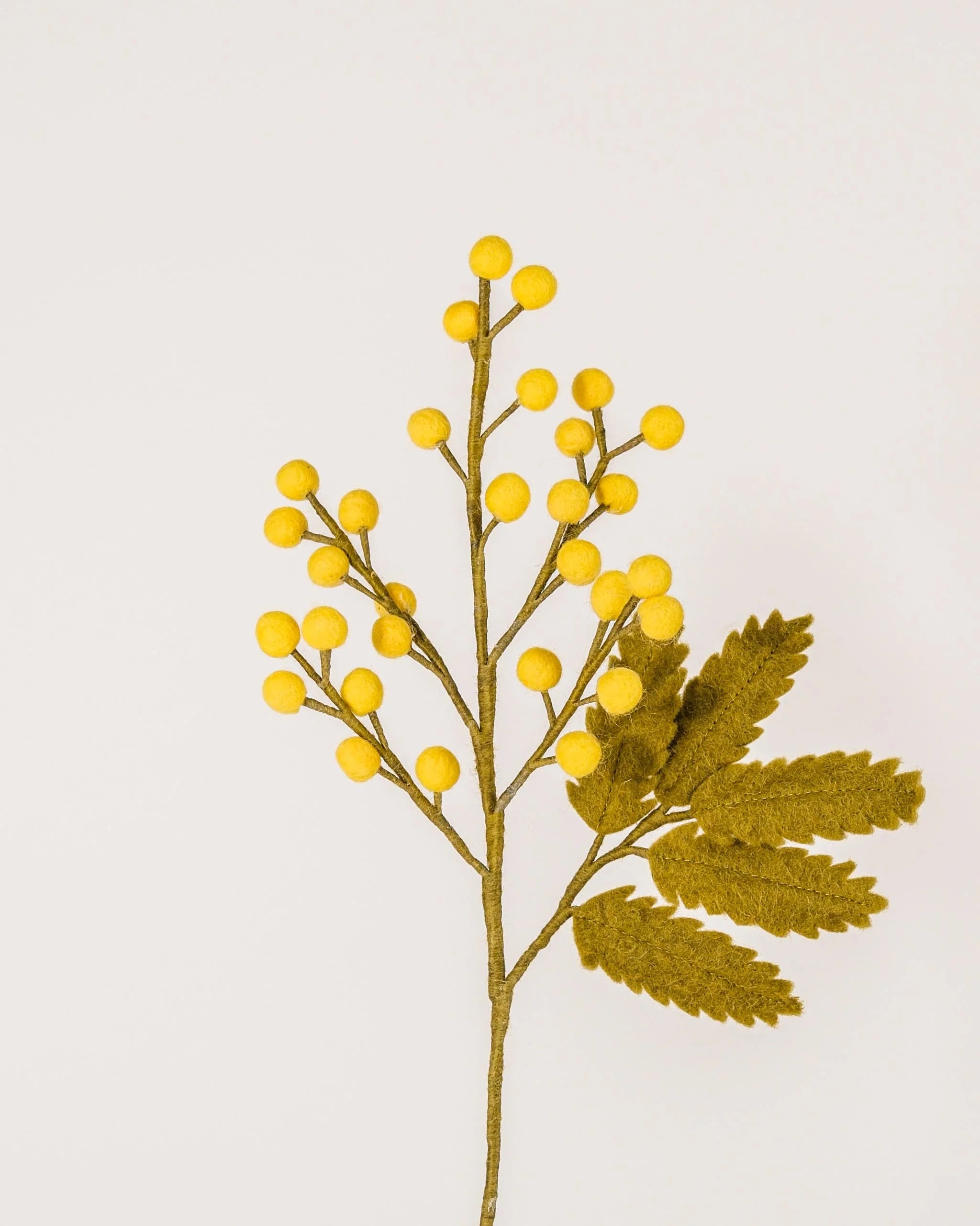 Photo d'un mimosa en feutrine sur un fond blanc.