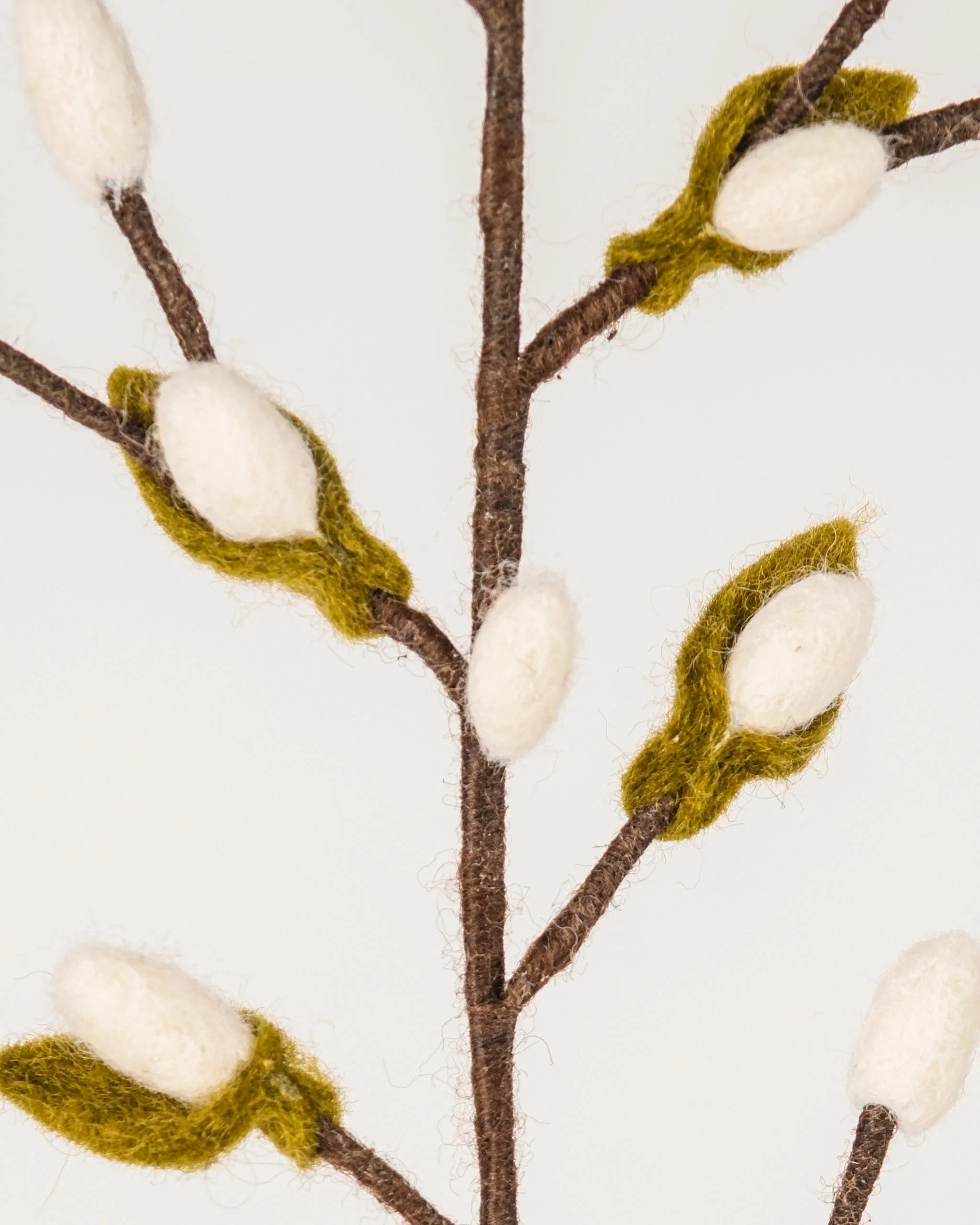 Photo zoom d'une branche de bourgeon blanc et vert en feutrine sur un fond blanc.