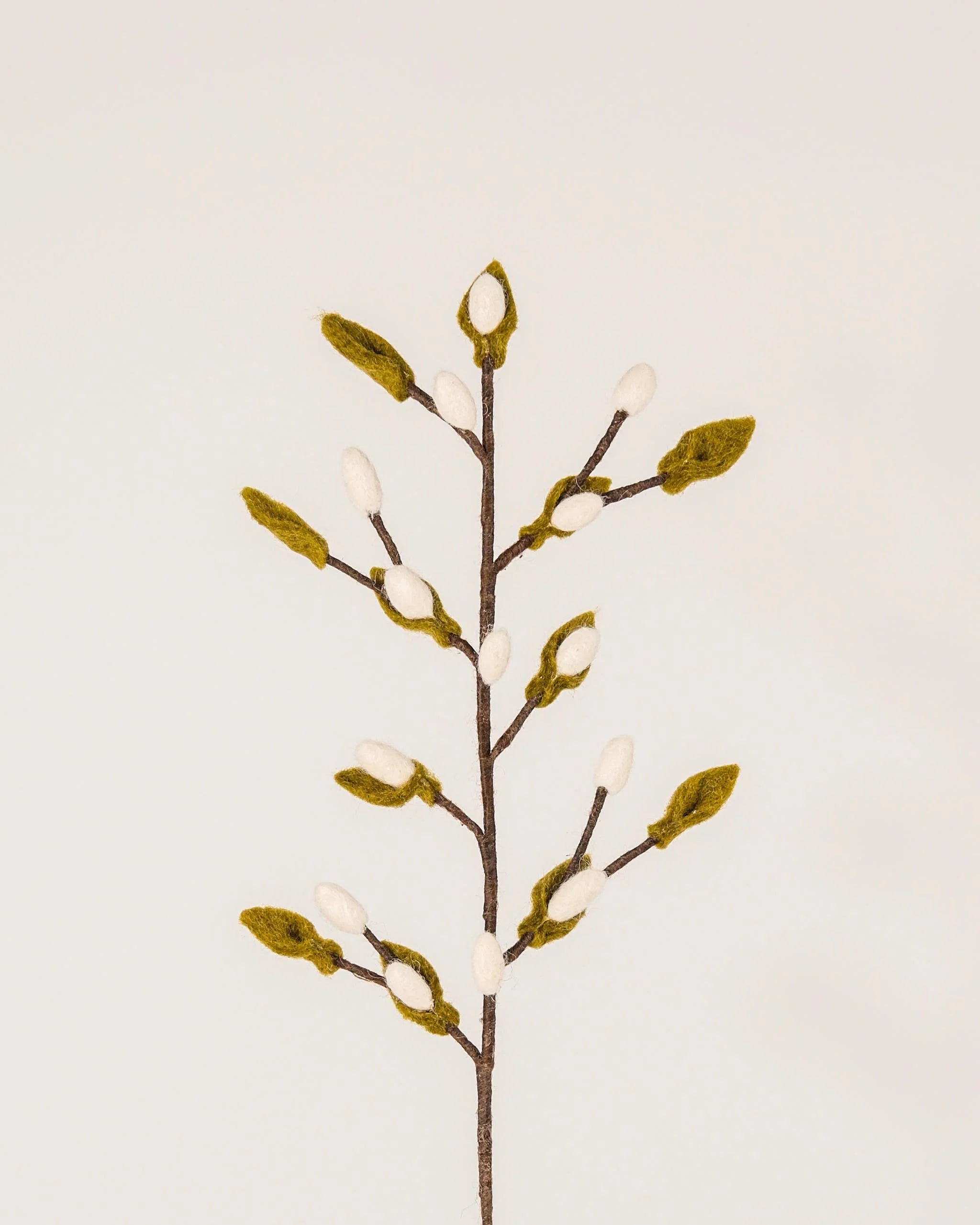 Photo d'une branche de bourgeon blanc et vert en feutrine sur un fond blanc.