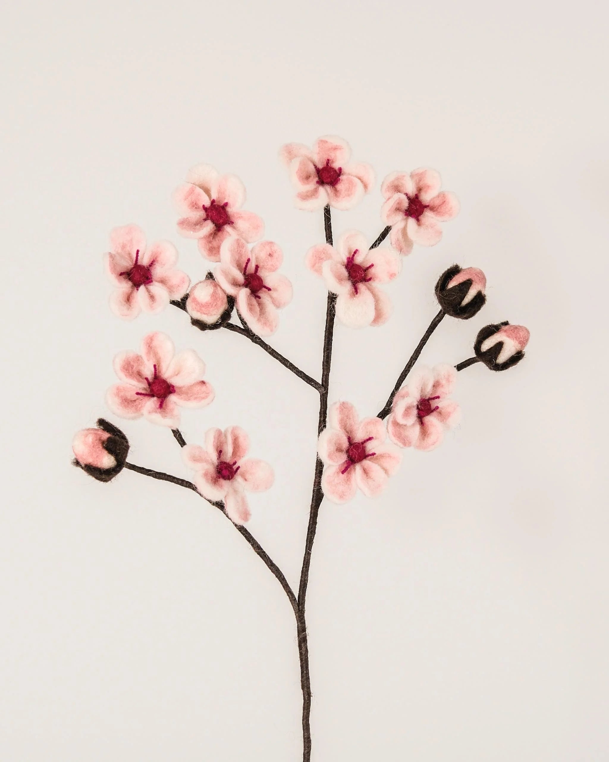 Photo d'une branche de fleurs de cerisier en feutrine sur un fond blanc.