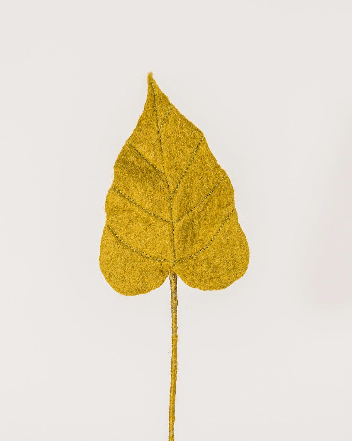 Photo d'une feuille d'arum en feutrine sur un fond blanc.