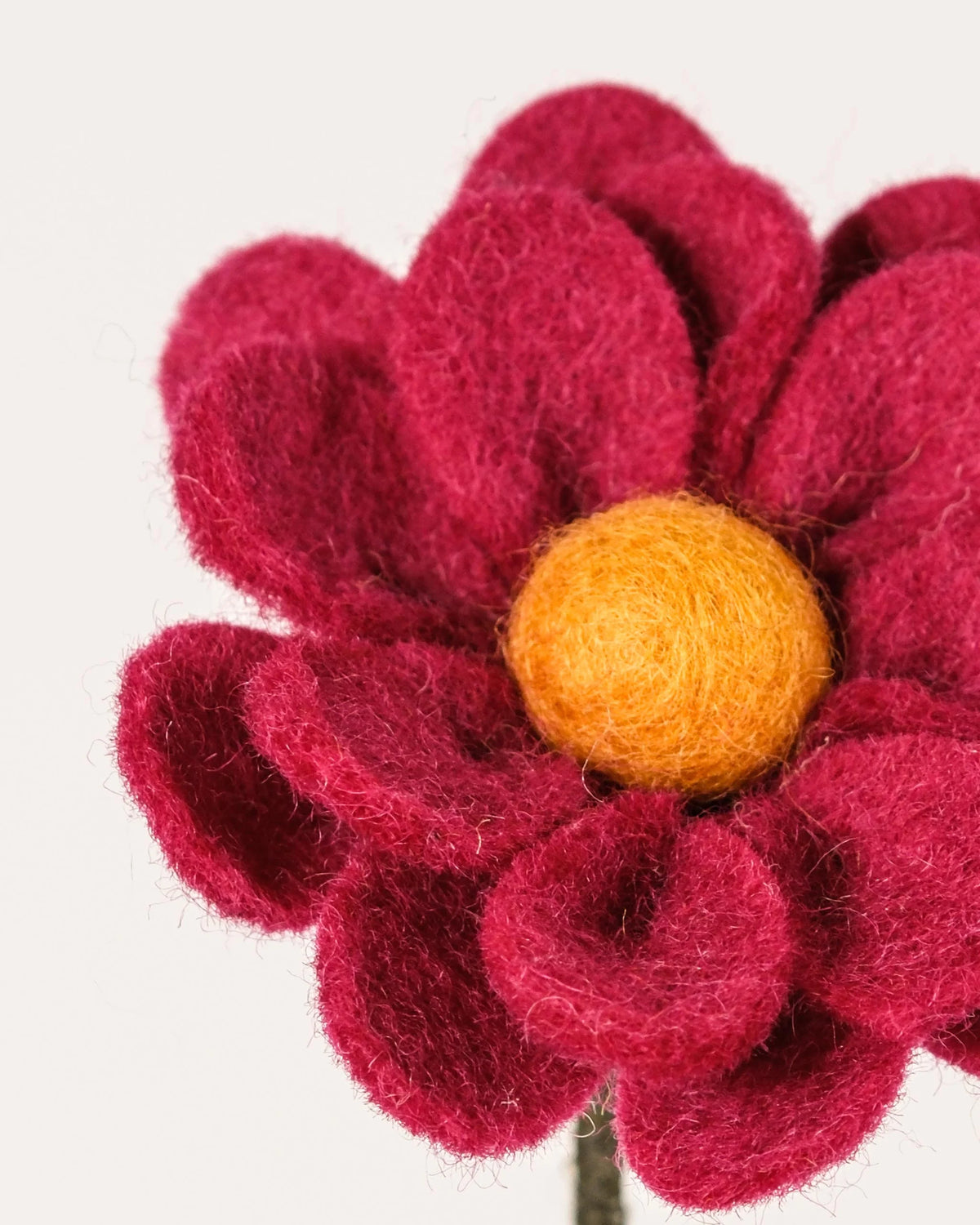 Photo zoom d'une anémone fuchsia en feutrine sur un fond blanc.