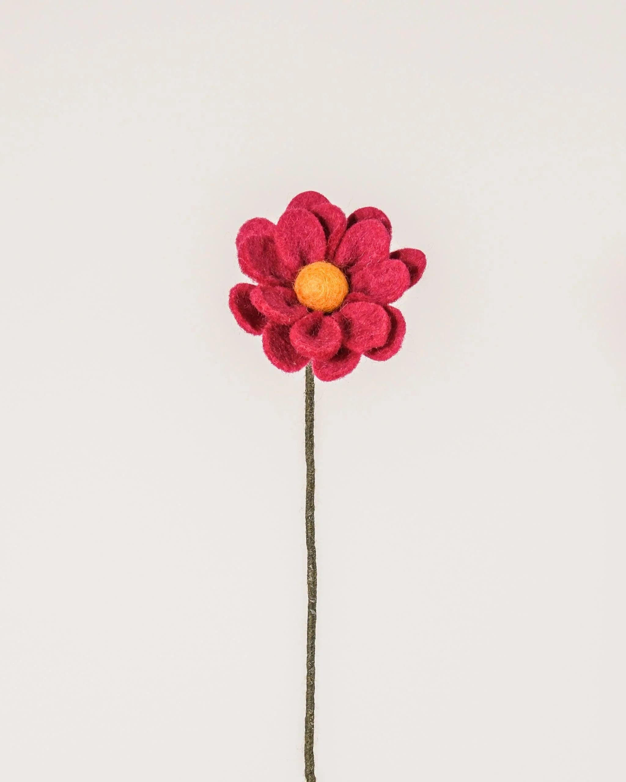 Photo d'une anémone fuchsia en feutrine sur un fond blanc.