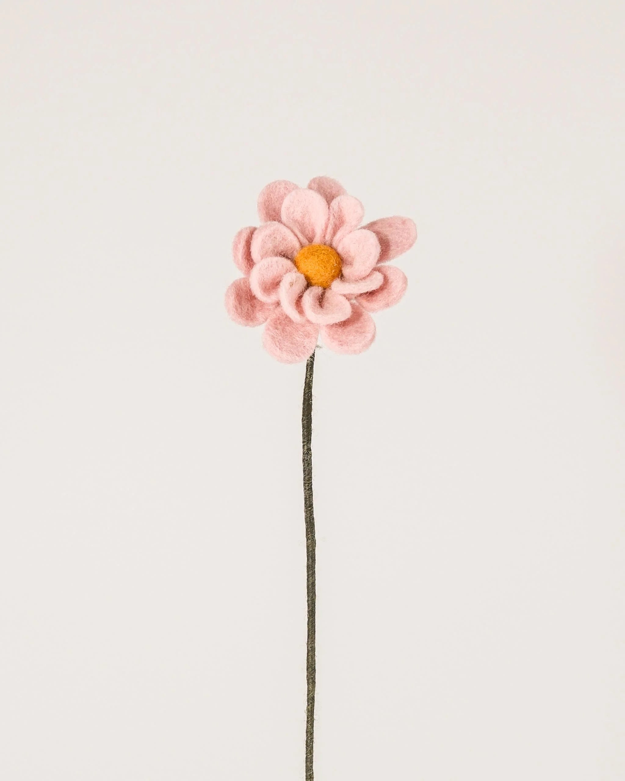 Photo d'une anémone rose pastel en feutrine sur un fond blanc.