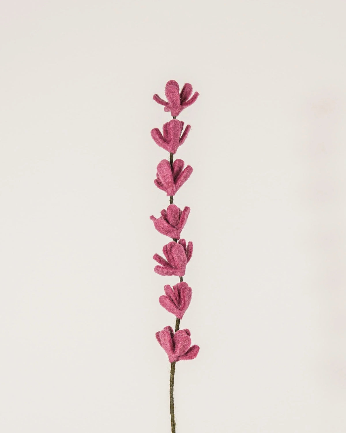 Photo d'une branche de genêt violet clair en feutrine sur un fond blanc style photo packshot.