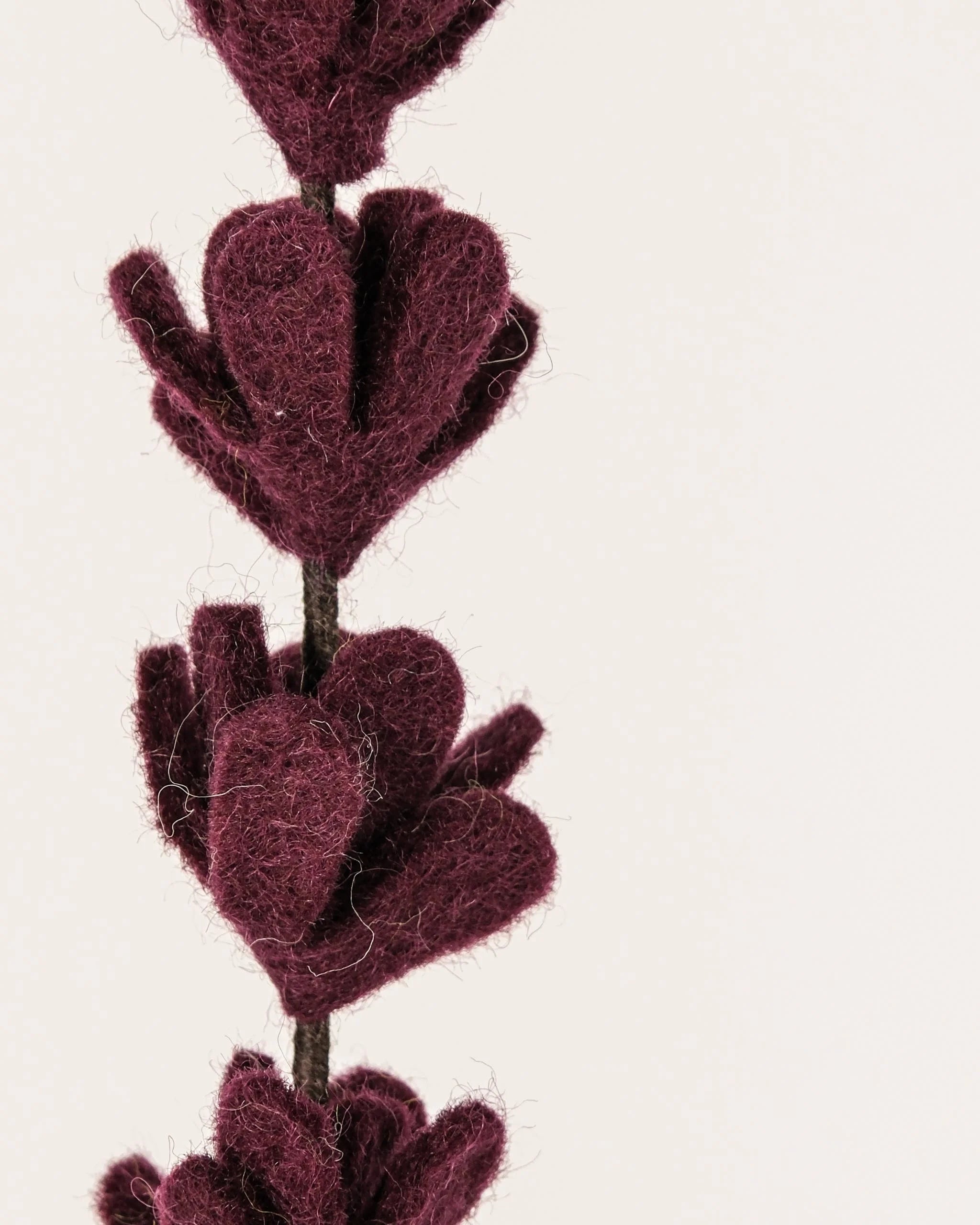 Photo zoom d'une branche de genêt violet foncé en feutrine sur un fond blanc style photo packshot.