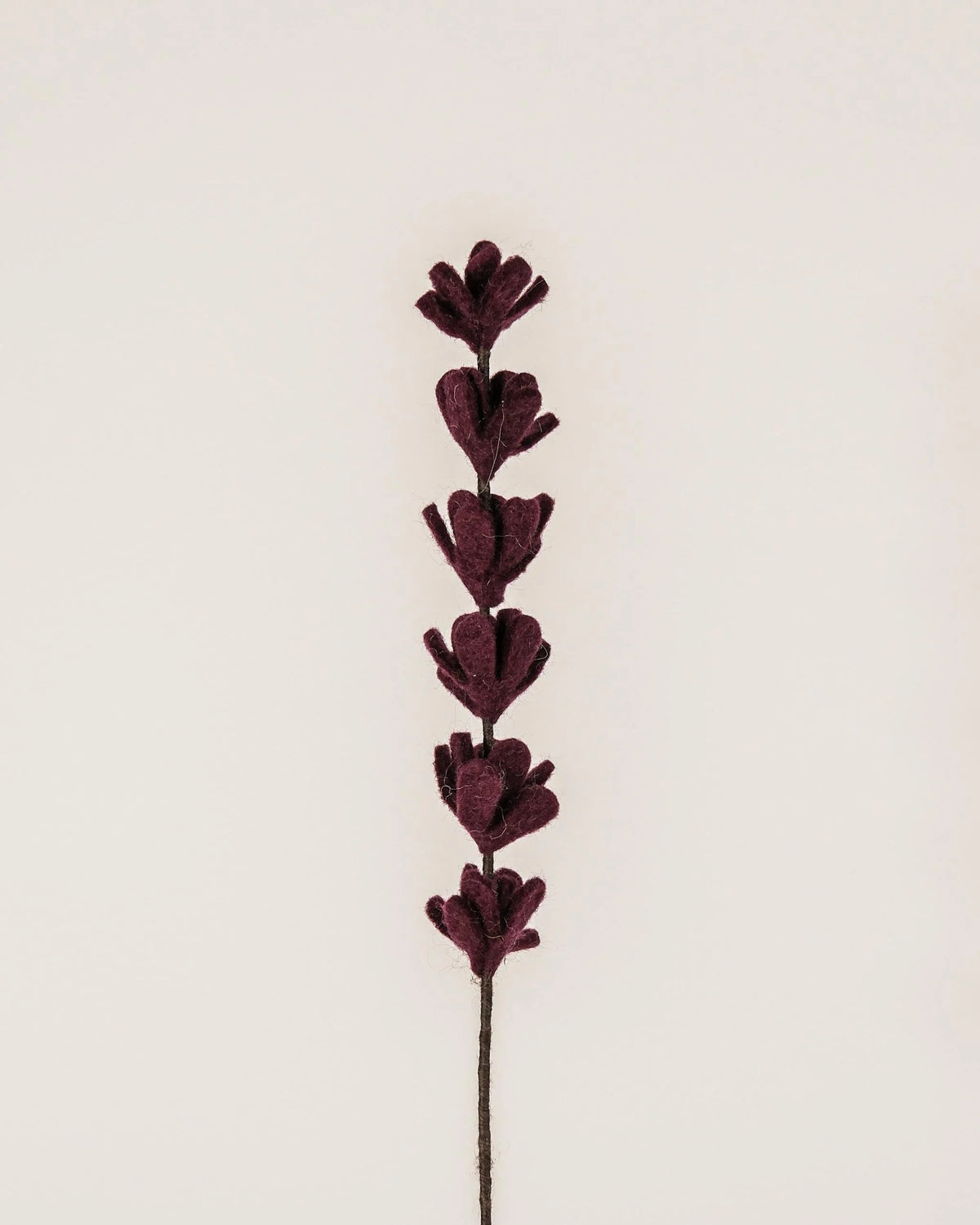 Photo d'une branche de genêt violet foncé en feutrine sur un fond blanc style photo packshot.