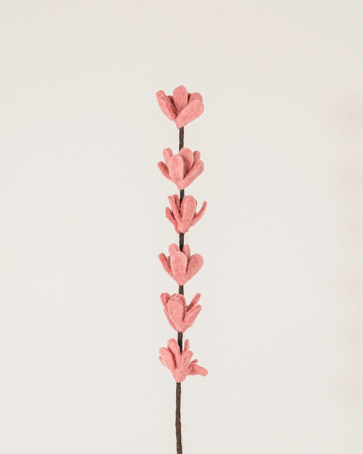 Photo d'une branche de genêt rose en feutrine sur un fond blanc style photo packshot.