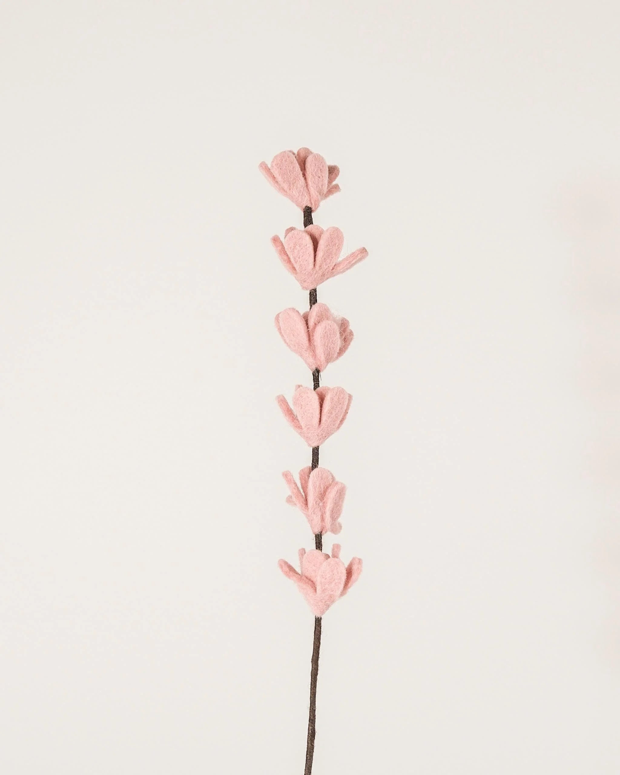 Photo d'une branche de genêt rose pastel en feutrine sur un fond blanc style photo packshot.
