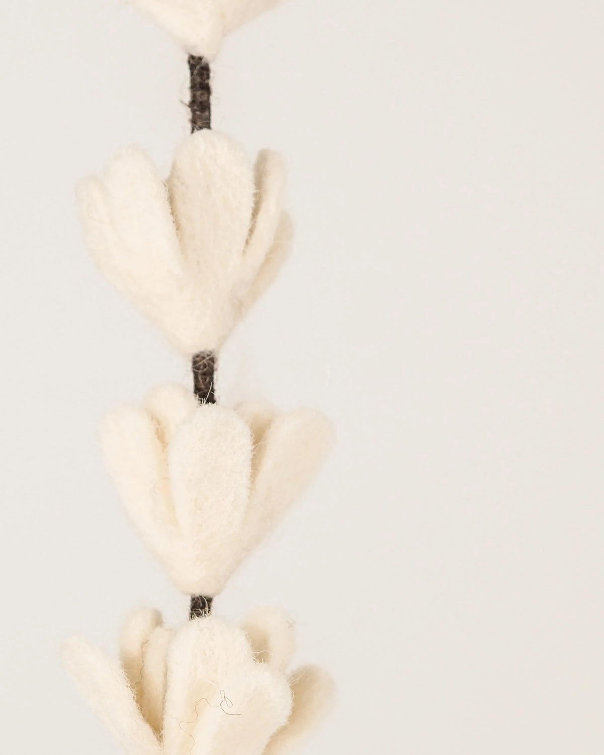 Photo zoom d'une branche de genêt blanc en feutrine sur un fond blanc style photo packshot.