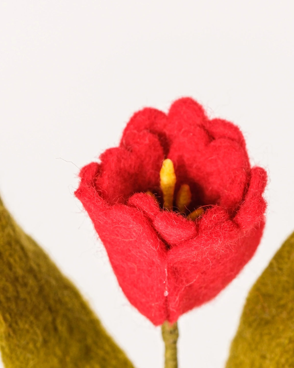 Photo zoom d'une tulipe rouge en feutrine sur un fond blanc style photo packshot.