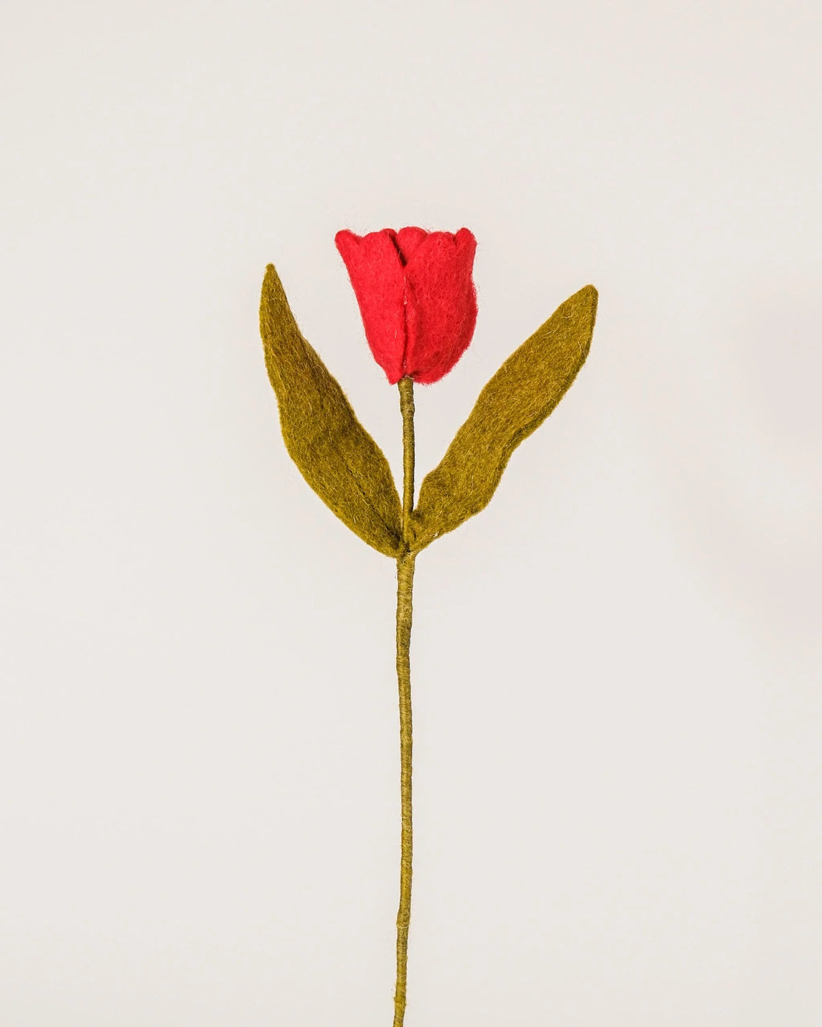 Photo d'une tulipe rouge en feutrine sur un fond blanc style photo packshot.