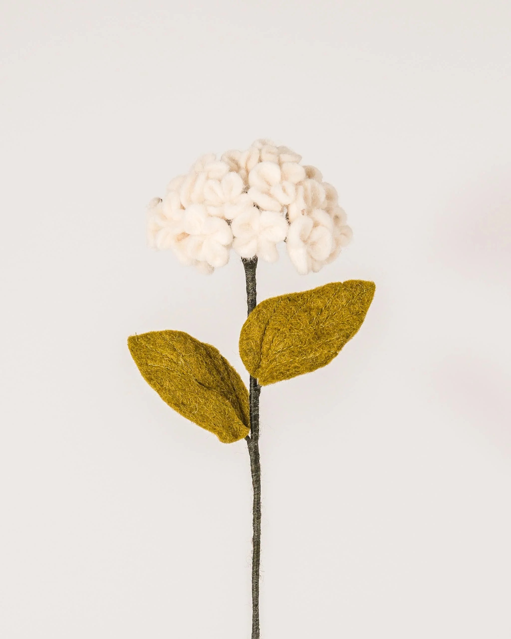 Photo d'une hortensia blanche en feutrine sur un fond blanc.