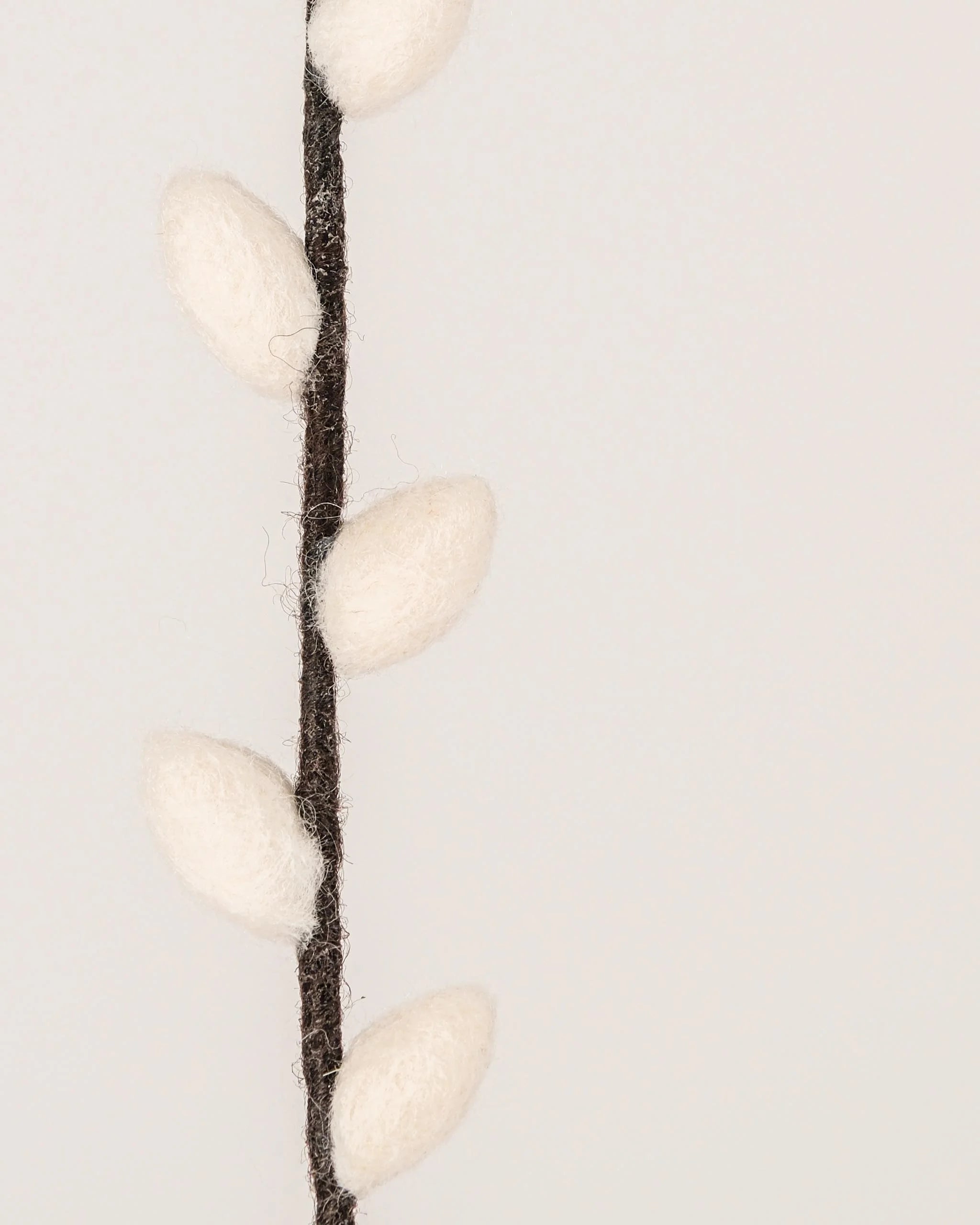 Photo zoom d'un chaton de saule en feutrine sur un fond blanc style photo packshot.