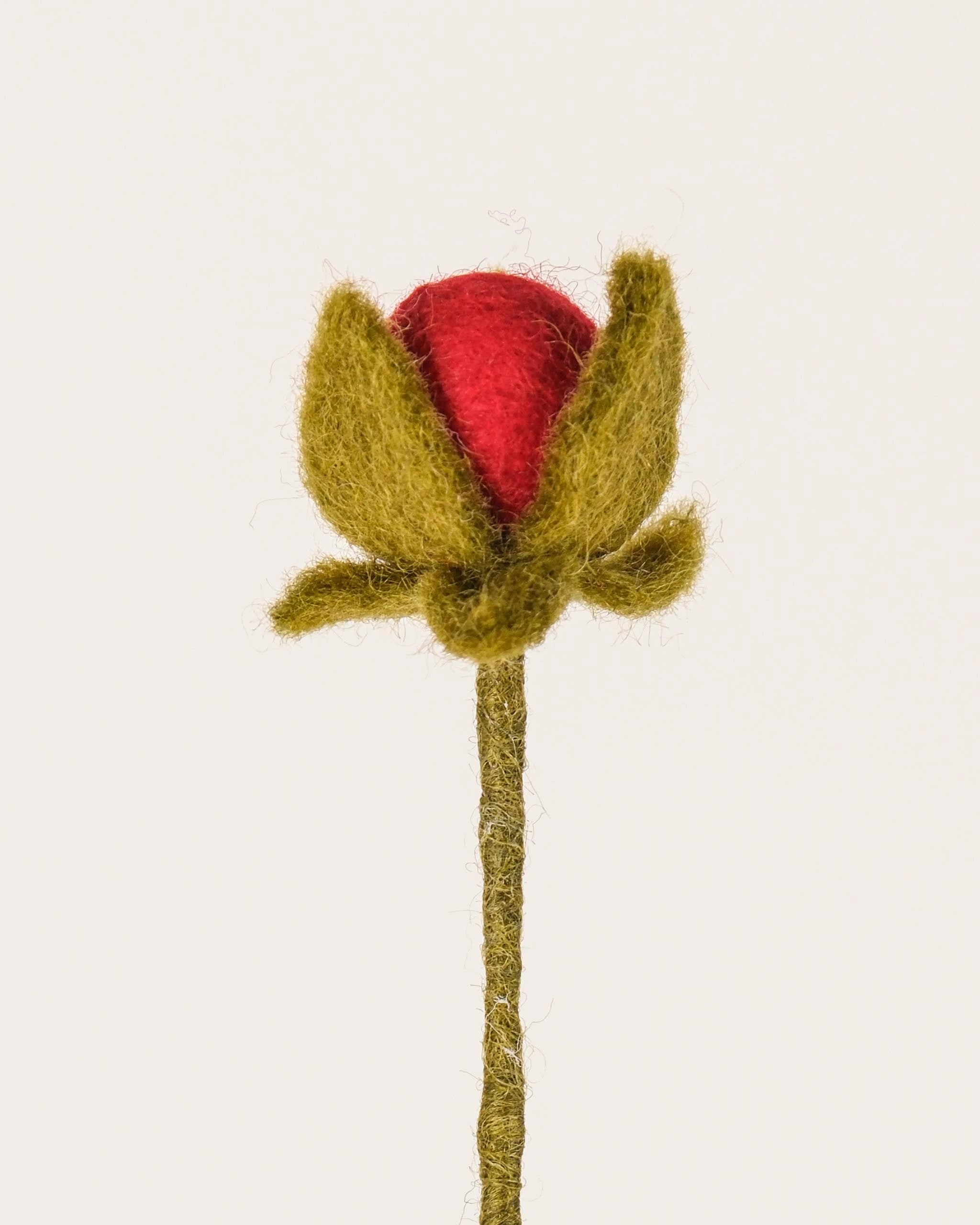 Bouton de rose rouge en feutrine sur un fond blanc détail zoom matière.