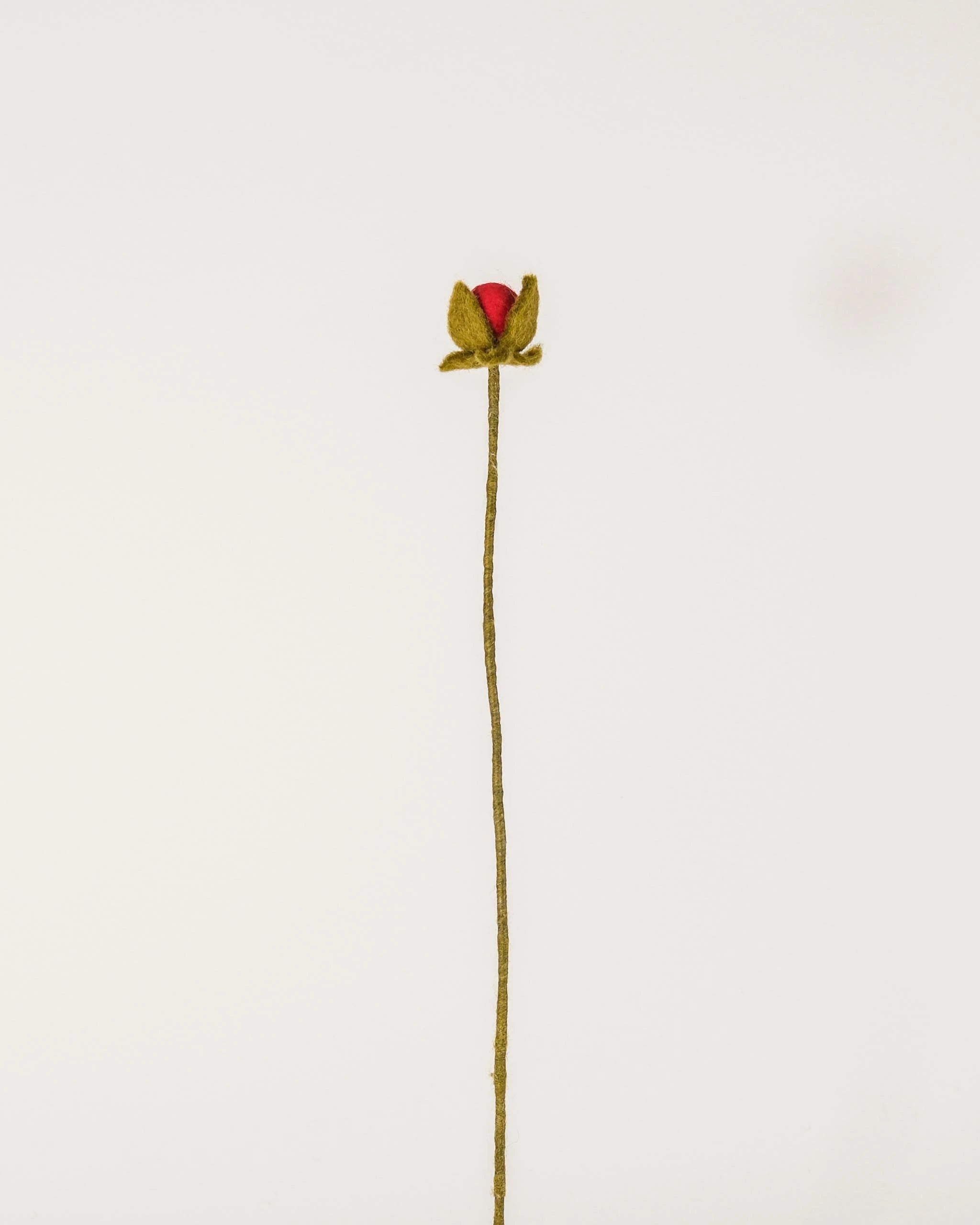 Bouton de rose rouge en feutrine sur un fond blanc.