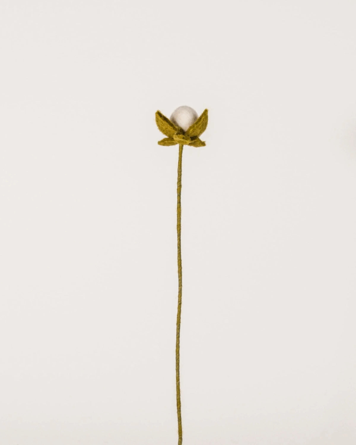 Bouton de rose blanc en feutrine sur un fond blanc.