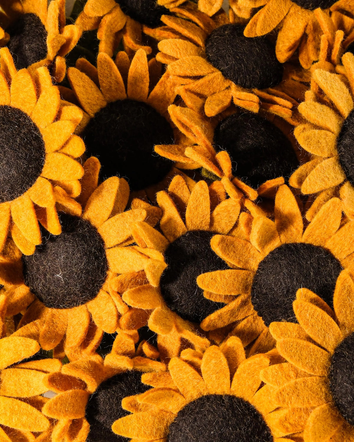 zoom sur un gros bouquet de tournesol