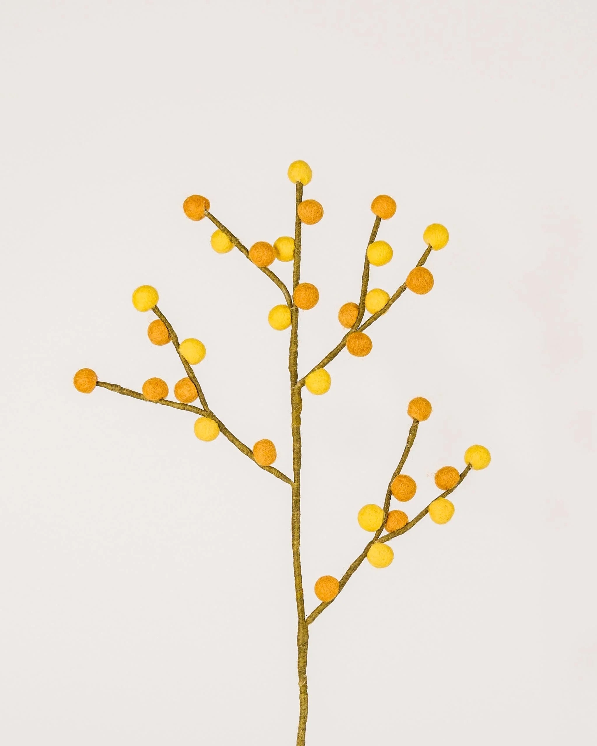 Photo d'une branche de baies jaunes et oranges en feutrine sur un fond blanc style photo packshot.