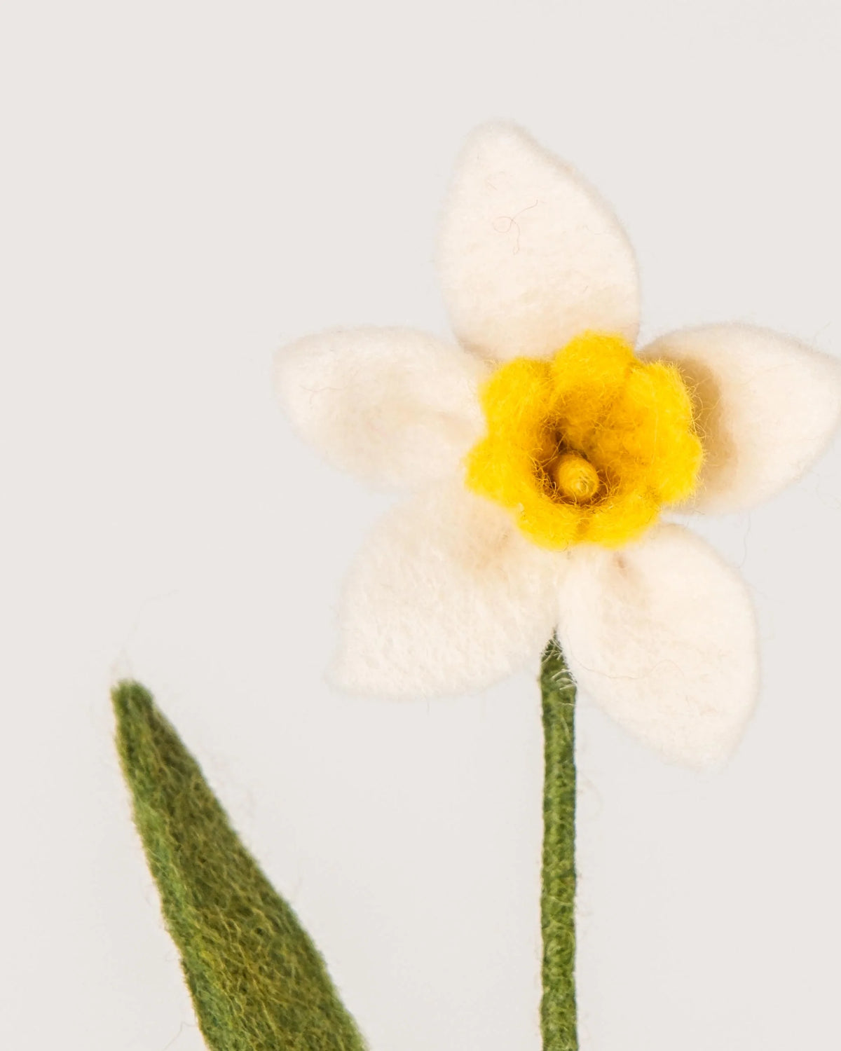 Photo zoom d'une jonquille blanche en feutrine sur un fond blanc style photo packshot.