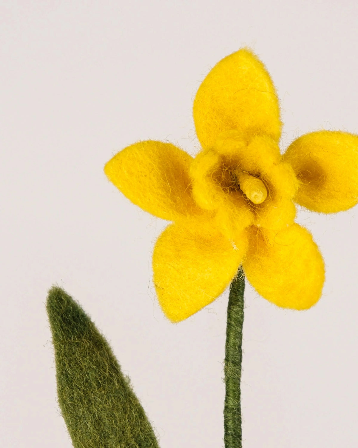 Photo zoom d'une jonquille jaune en feutrine sur un fond blanc style photo packshot.