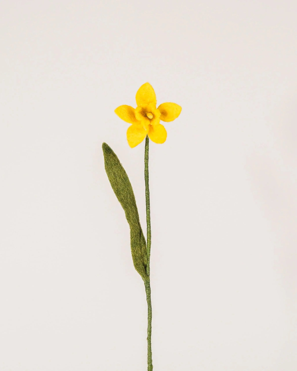 Photo d'une jonquille jaune en feutrine sur un fond blanc style photo packshot.