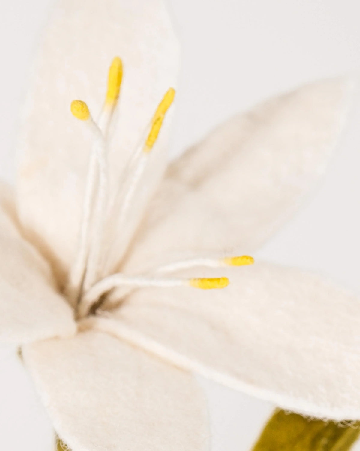 Photo zoom d'une fleur de lys en feutrine sur un fond blanc style photo 