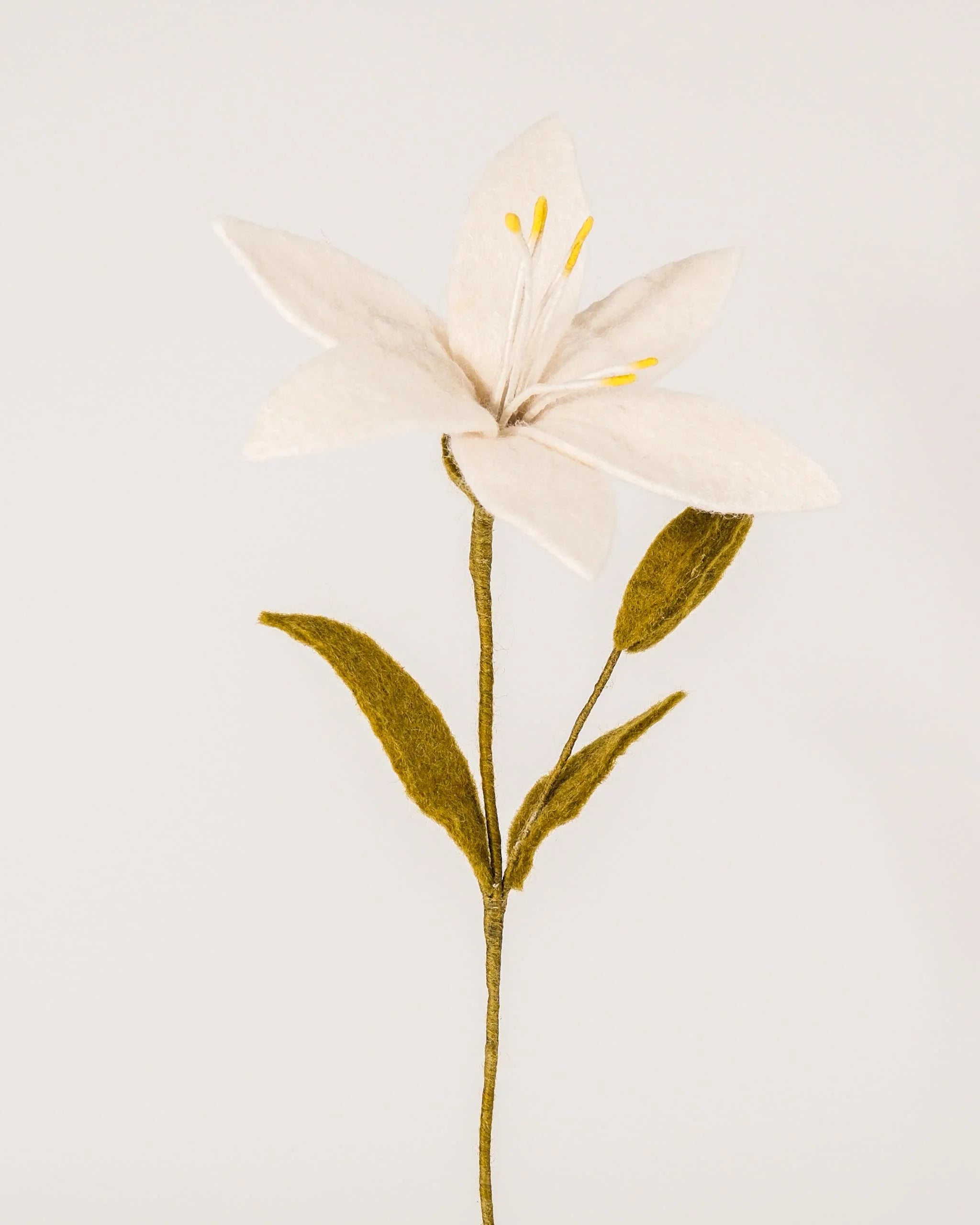 Photo d'une fleur de lys en feutrine sur un fond blanc style photo 