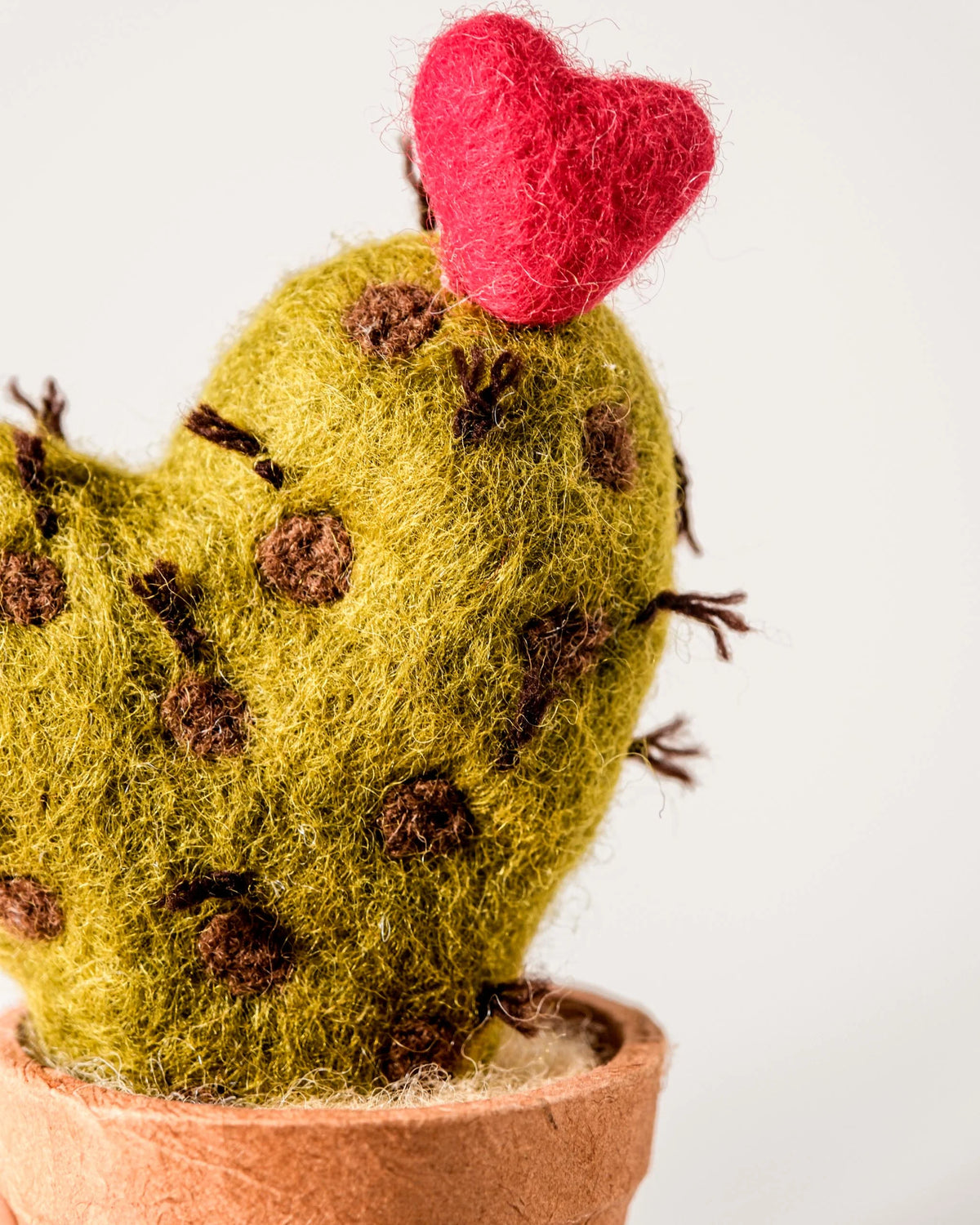 Petit cactus dans un pot sur fond blanc en forme de coeur detail zoom.