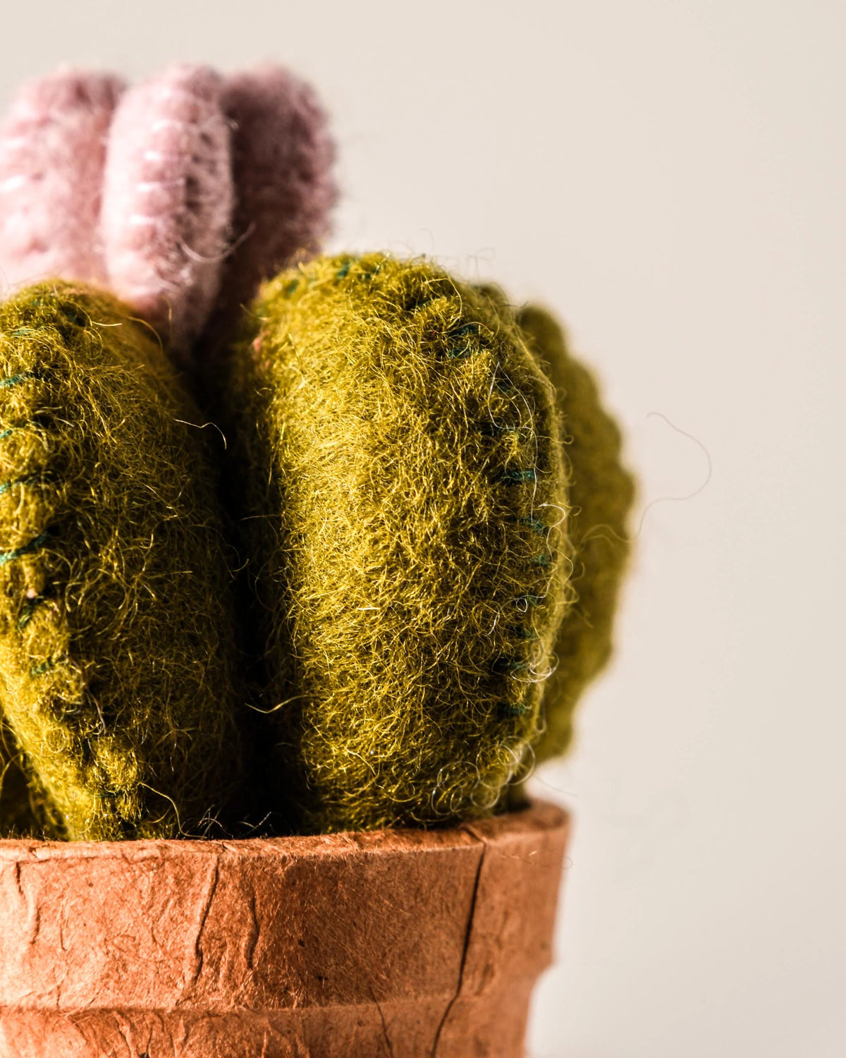 Petit cactus dans un pot sur fond blanc en forme de fleur detail zoom