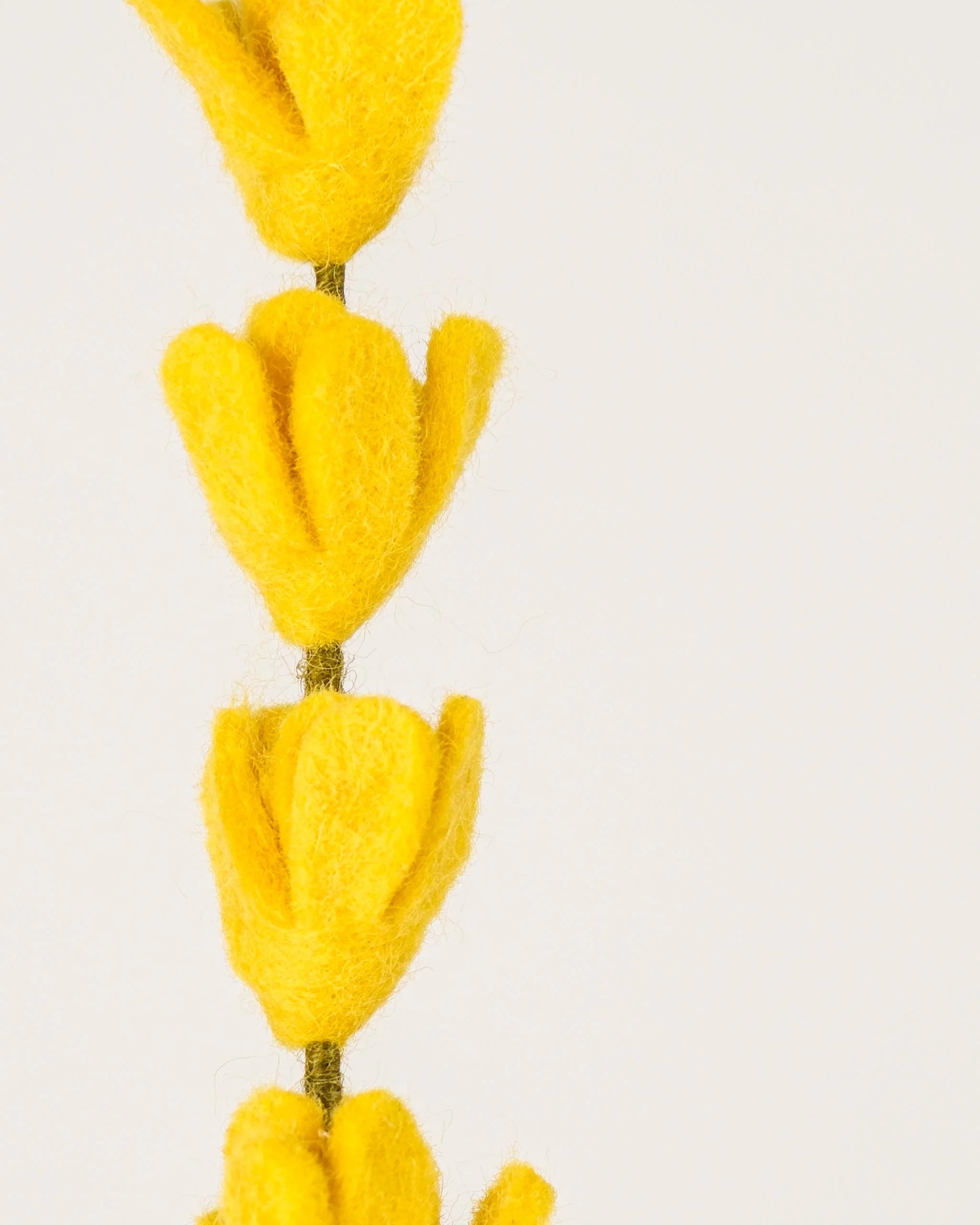 Photo zoom d'une branche de genêt jaune en feutrine sur un fond blanc style photo packshot.