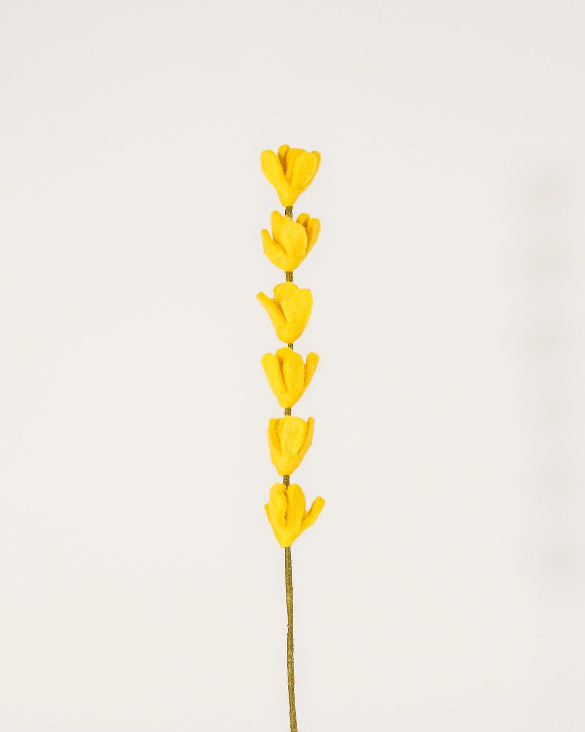 Photo d'une branche de genêt jaune en feutrine sur un fond blanc style photo packshot.