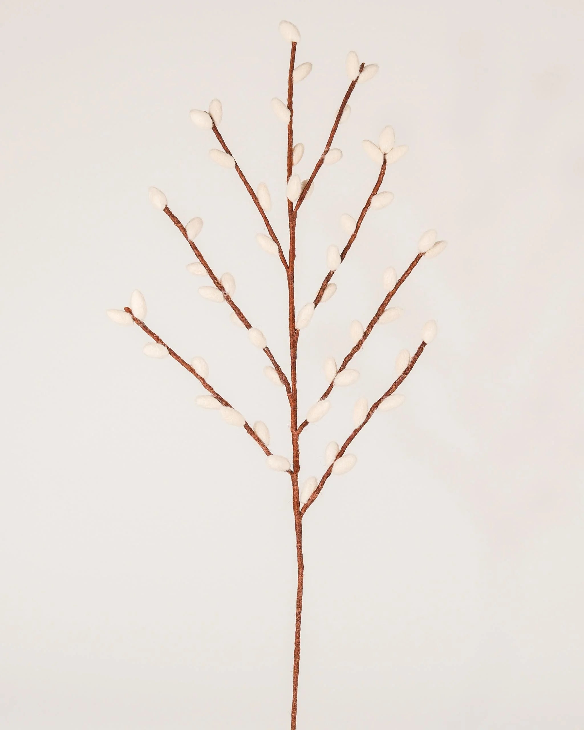 Photo d'une branche de chaton de saule marron géante en feutrine sur un fond blanc style photo packshot.