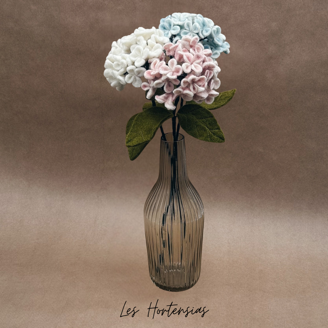 Lot de 3 Hortensias - New Heidi