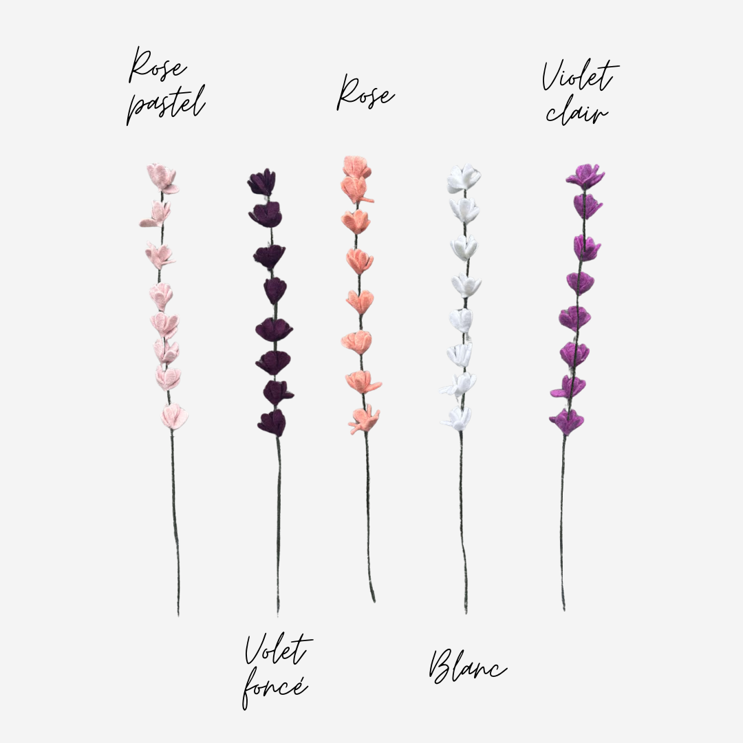 Lot de 3 branches de fleurs de Genêt - New Heidi