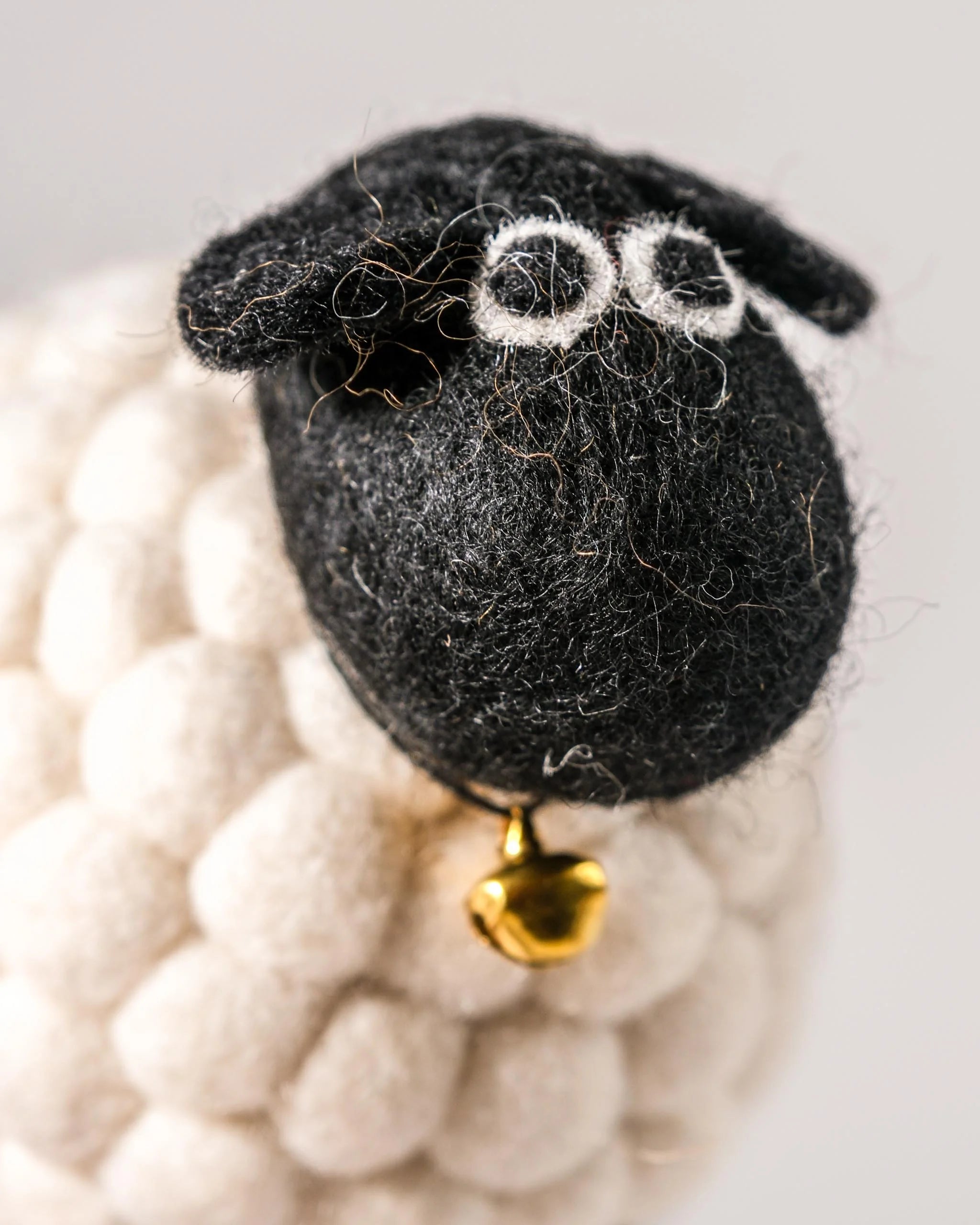 Petit mouton boule tête noir sur un fond blanc détail zoom matière.