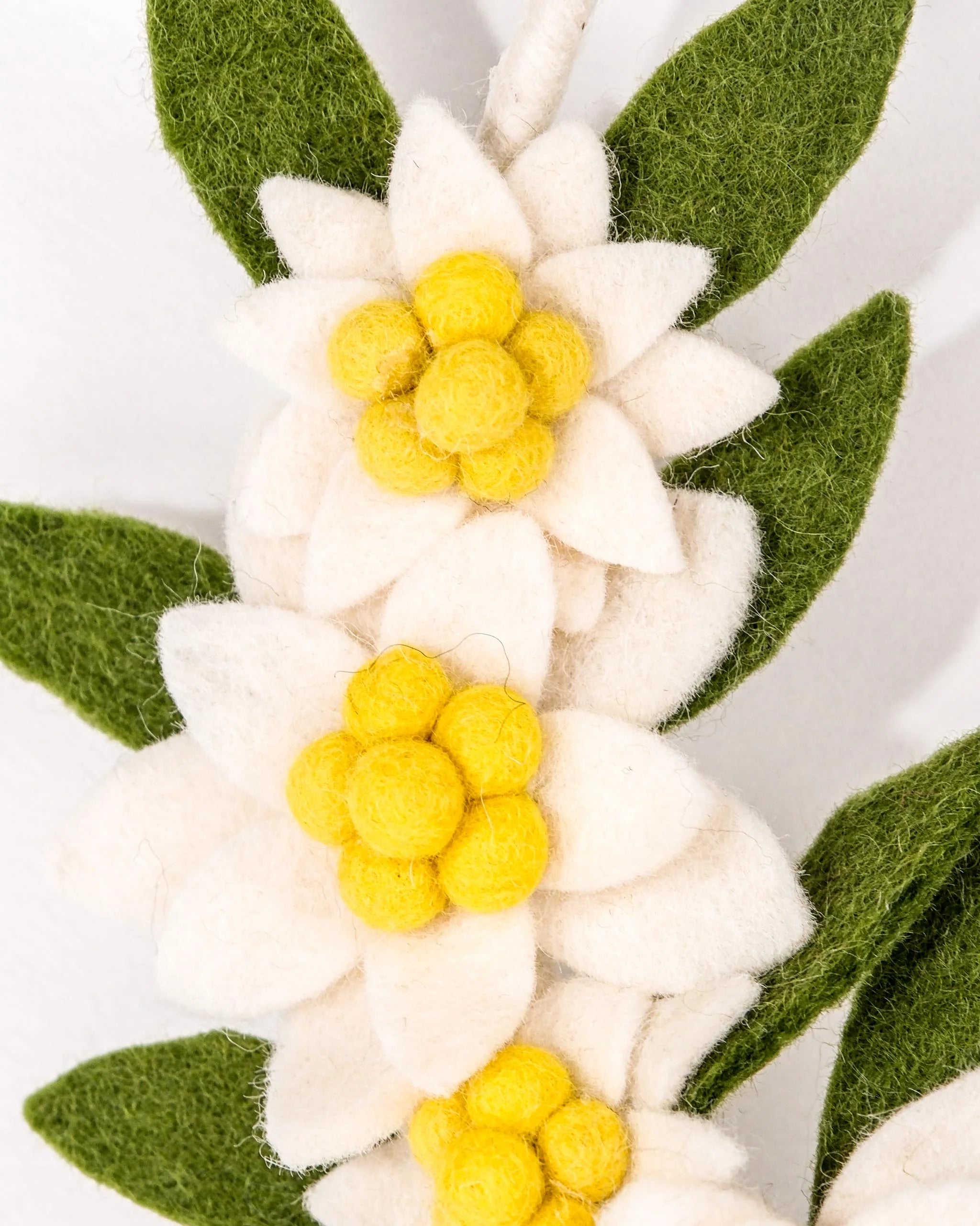 Couronne en feutrine edelweiss sur un mur blanc detail zoom.