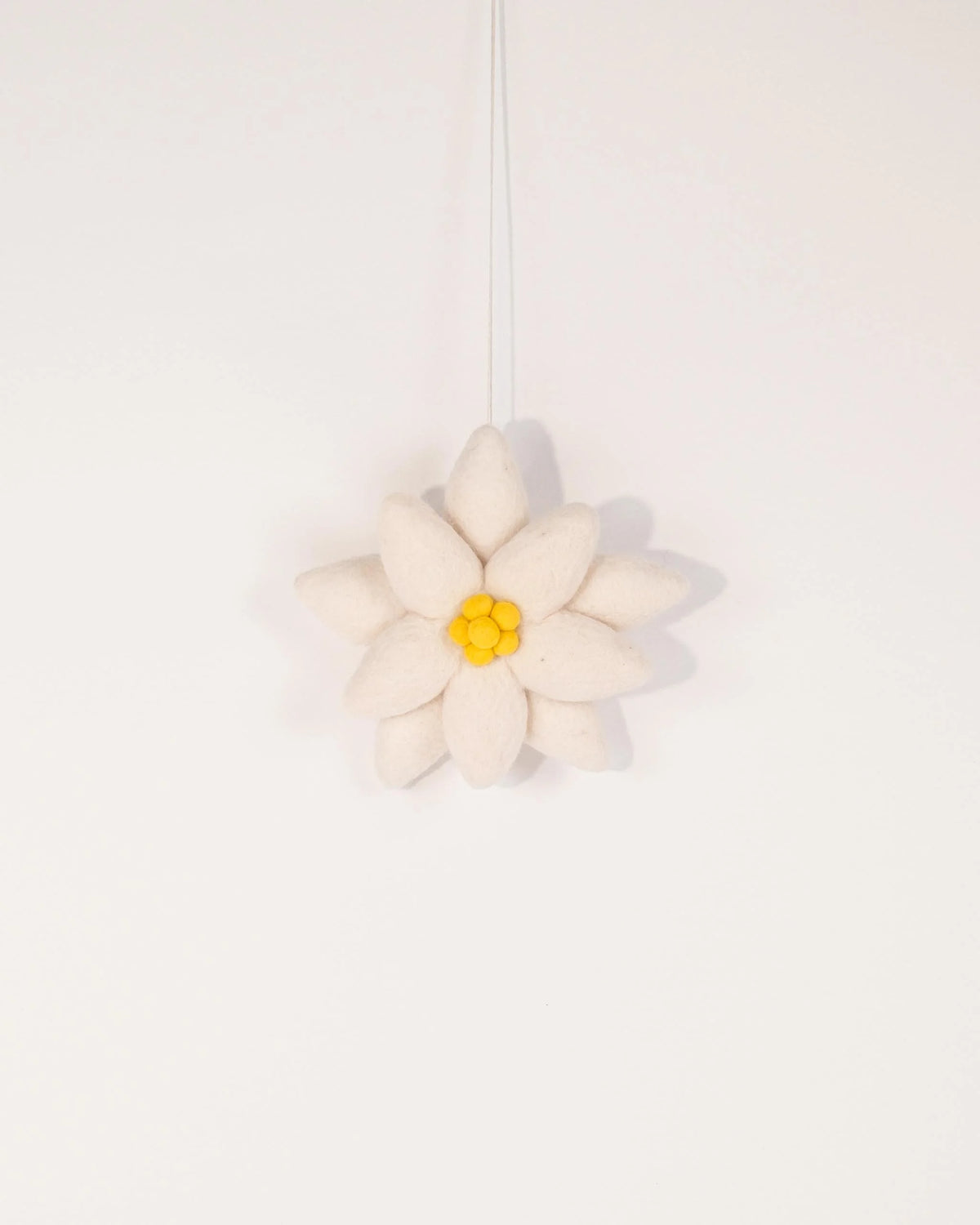 Edelweiss murale en feutrine sur fond blanc.