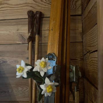 Composition d'edelweiss en laine New Heidi décorant une paire de skis anciens en bois pour une ambiance chalet.
