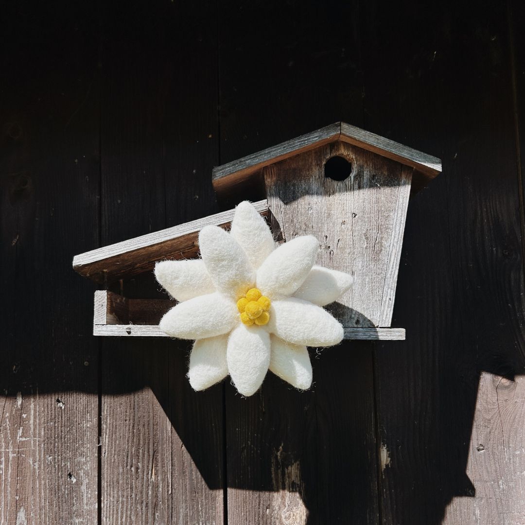 Grande fleur d'edelweiss en laine blanche artisanale New Heidi fixée sur un nichoir à oiseaux en bois patiné.