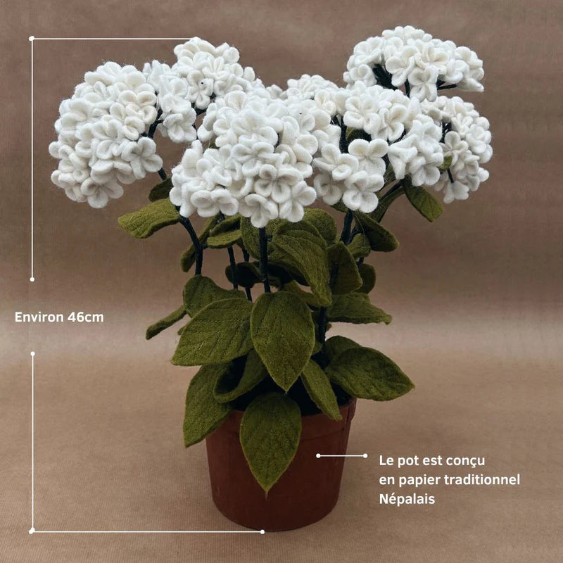 erplain_file_id:174535 - Pot d'Hortensias Blanches en Feutrine – Décoration Florale New Heidi