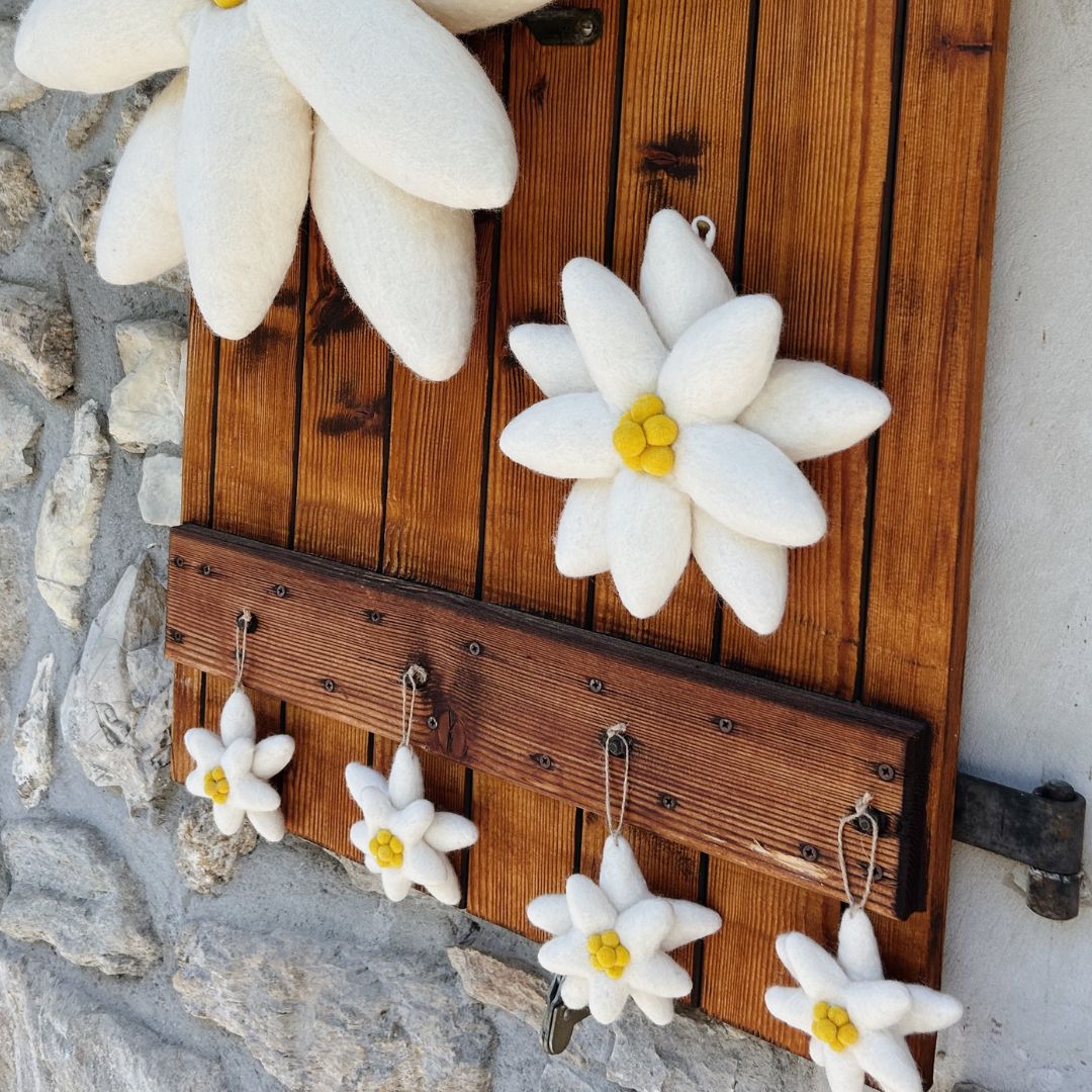 Grande fleur d'edelweiss murale en laine feutrée de 20cm fixée sur un volet en bois à côté de suspensions.