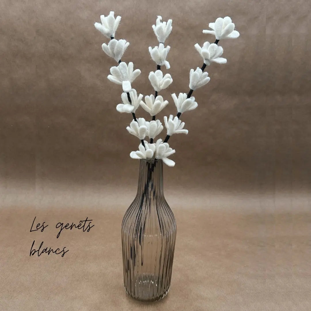 erplain_file_id:174781 - Branches de Genêt Blanc en Feutrine – New Heidi