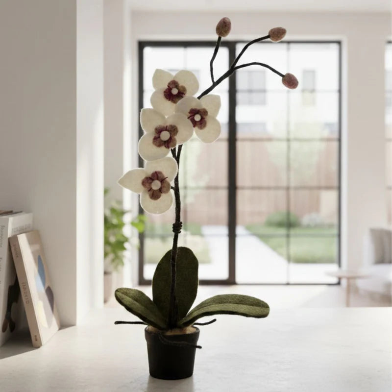 erplain_file_id:174611 - Orchidée Blanche en Pot en Feutrine – Décoration Artisanale New Heidi