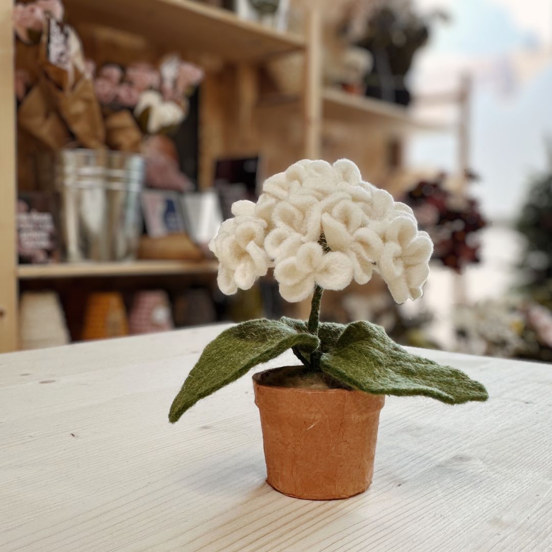 Petit pot d'hortensia en feutrine rose New Heidi dans son contenant en laine grise, vu de face sur un fond rouge.