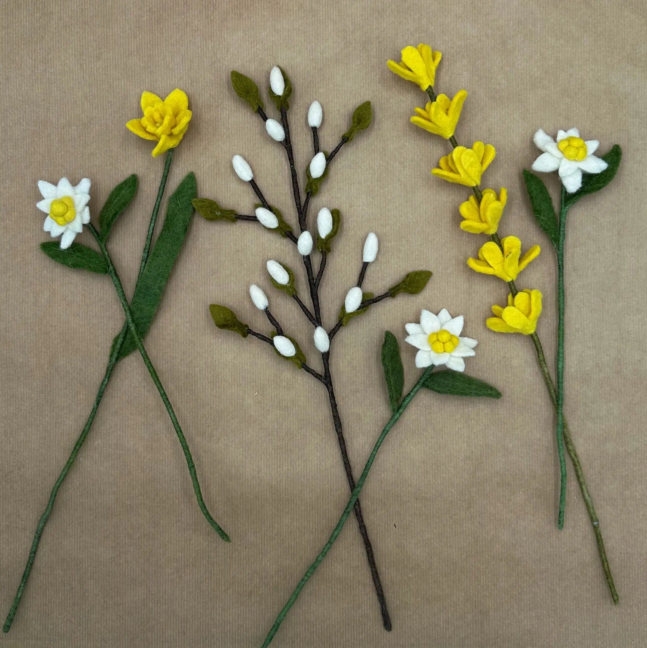 Vue à plat des différentes tiges du bouquet Éclat d'Alpage : edelweiss, jonquille, genêt et bourgeons.